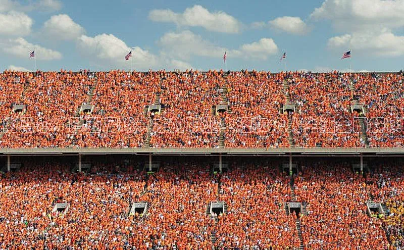 华体育综合app下载宣亚国际内马尔：巴西足球天才的职业生涯和个人生活全面解读