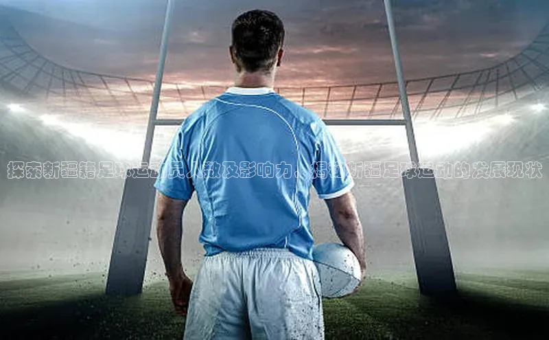 华体会hth首页皮阿诺探索新疆籍足球运动员人数及影响力，揭秘新疆足球运动的发展现状