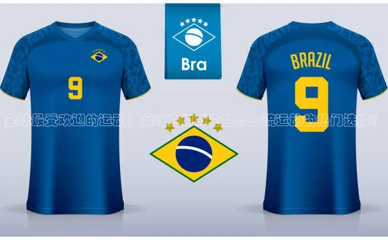 hth会体会官方网站登录汉得信息全球最受欢迎的运动：足球为何成为世界一流运动的热门选择？