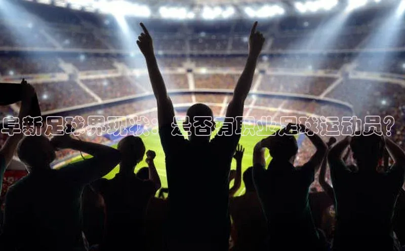 华体育手机app下载百度人工翻译阜新足球界现状：是否有职业足球运动员？