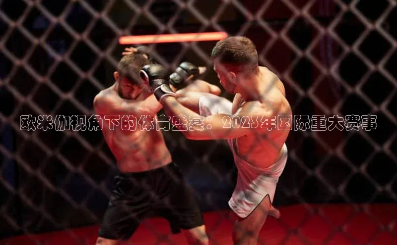 华会体育官方网站首页登录入口百度翻译App欧米伽视角下的体育盛宴：2023年国际重大赛事