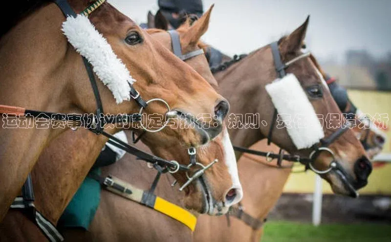 华体会体育最新首页登录度小满支付运动会赛事协议的制定与执行：规则、责任与保障分析