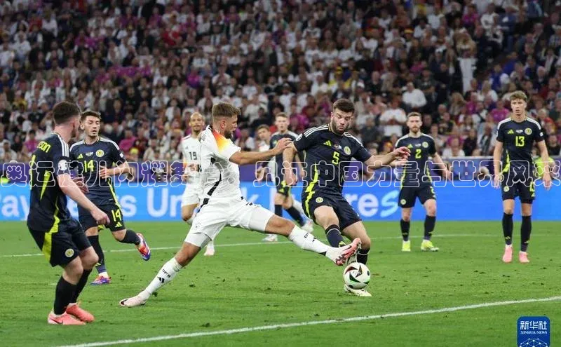 奥运健儿闪耀舞台：见证中国力量与世界风采