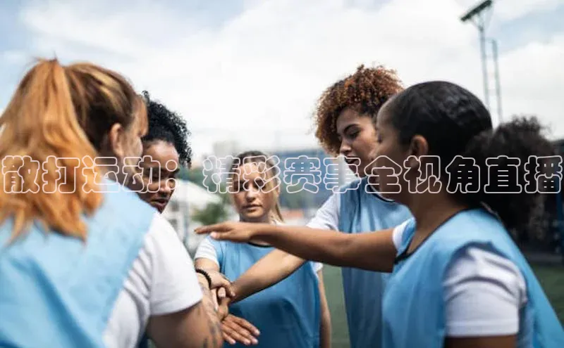 散打运动：精彩赛事全视角直播