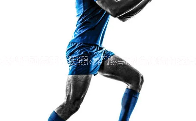 大型运动赛事：政策、组织与观众体验的深度