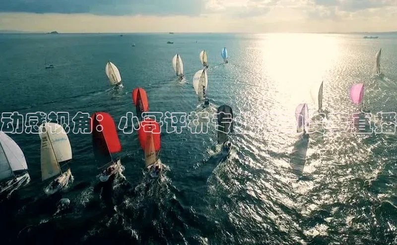 动感视角：小哥评析专业运动赛事直播