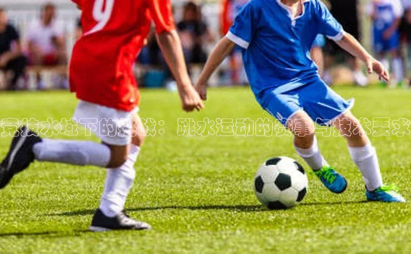 竞技水域下的挑战：跳水运动的赛事与技术要求