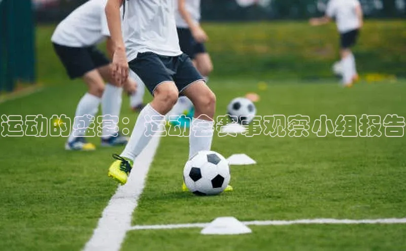 运动的盛宴：运动会赛事观察小组报告
