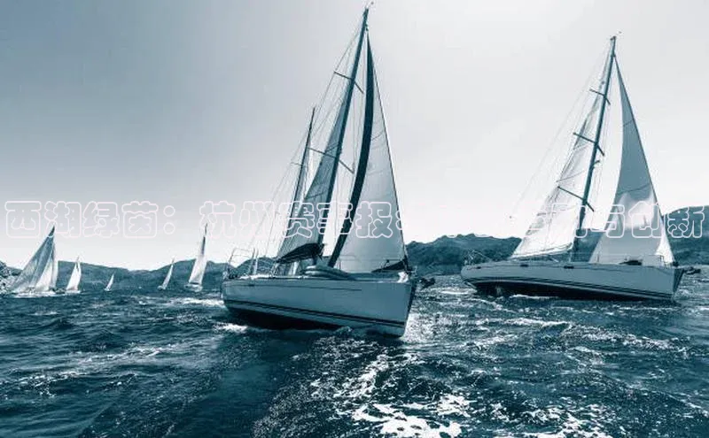 西湖绿茵：杭州赛事报名中的运动与创新