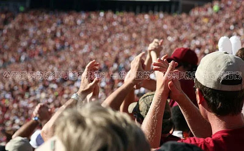 公平竞赛的法律与道德规范：一份完整的运动赛事裁判员守则指南