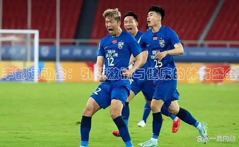 丰都运动会：引领激情与健康的体育盛会