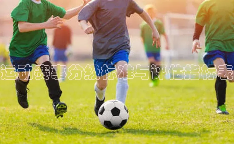 运动赛事分级标准与评估指标表