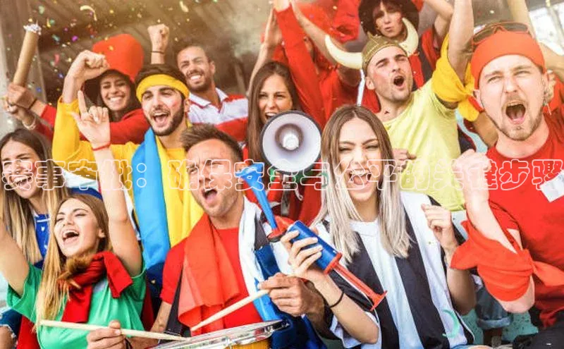 赛事审批：确保安全与公平的关键步骤