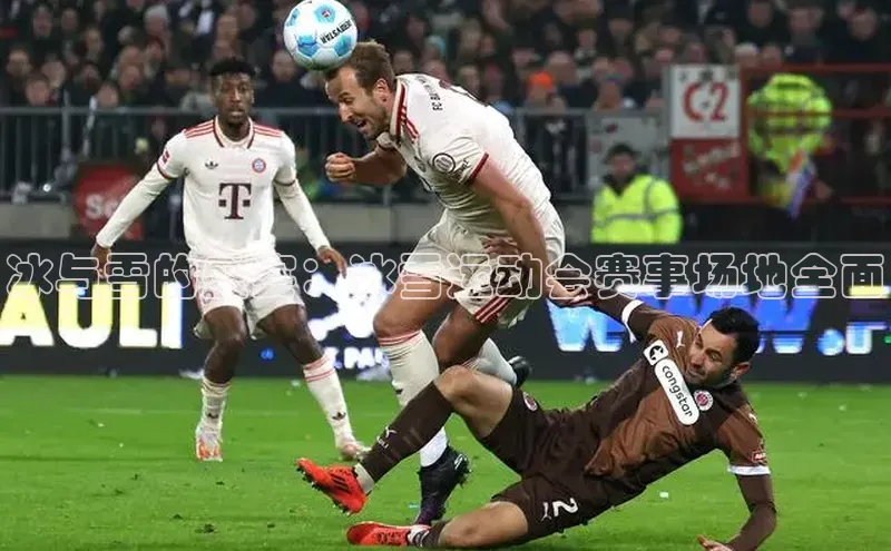 冰与雪的盛宴：冰雪运动会赛事场地全面