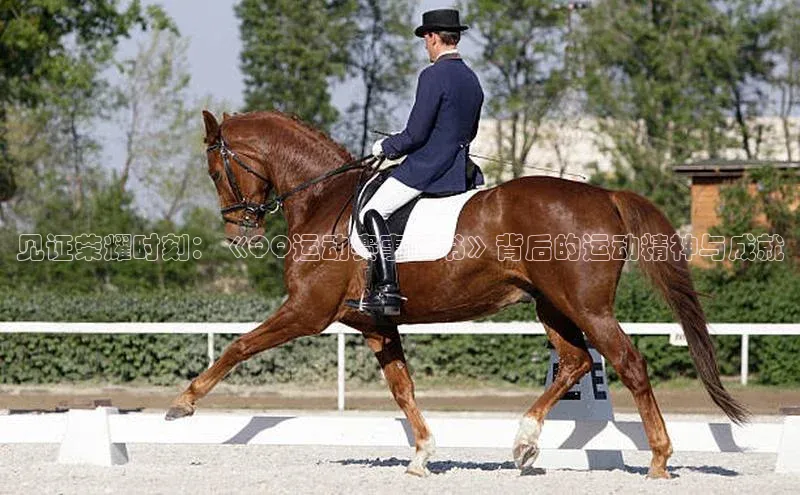 见证荣耀时刻：《QQ运动赛事证书》背后的运动精神与成就